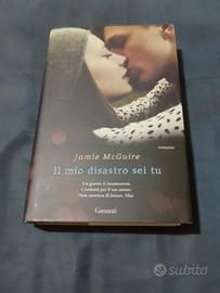 Il mio disastro sei tu. Romanzo.