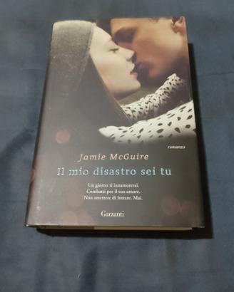 Il mio disastro sei tu. Romanzo.