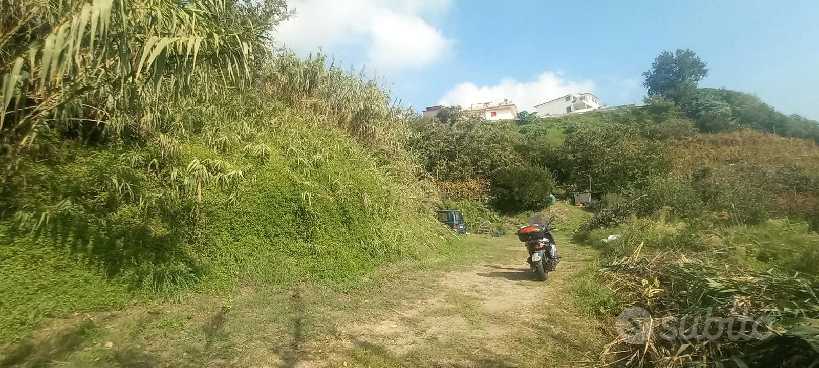 Pianura Via Angogna Rif.123T - Vista 2
