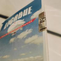 Ligabue Campovolo -  Il meglio deve ancora venire