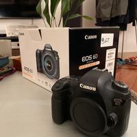 Canon 6D