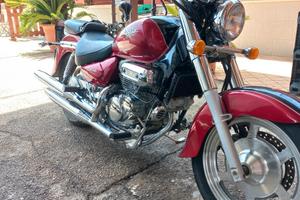 Hyosung Aquila GV 250 - 2002