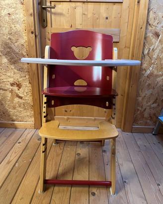 SEDIA EVOLUTIVA - PALI