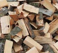 legna per festività natalizie