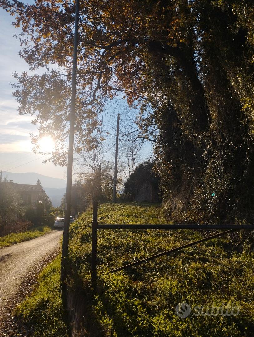 Terreno collinare Torrice (FR) - Vista 3