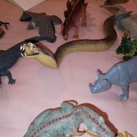 brllissimi animali