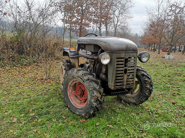 Eron meroni d18