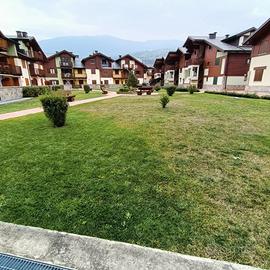 Bilocale Arredato con Ampia Terrazza e Box