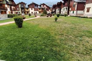 Bilocale Arredato con Ampia Terrazza e Box