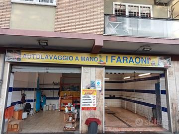 Lavaggio auto a mano