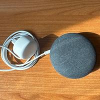 Google home mini