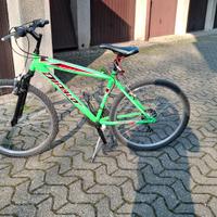 mountain bike ruote  26 pollici