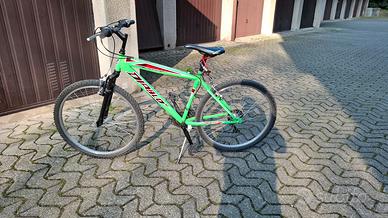 mountain bike ruote  26 pollici