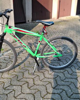 mountain bike ruote  26 pollici