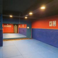 Tatami DOLLAMUR judo jiu jitsu mma