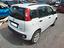Immagine 6