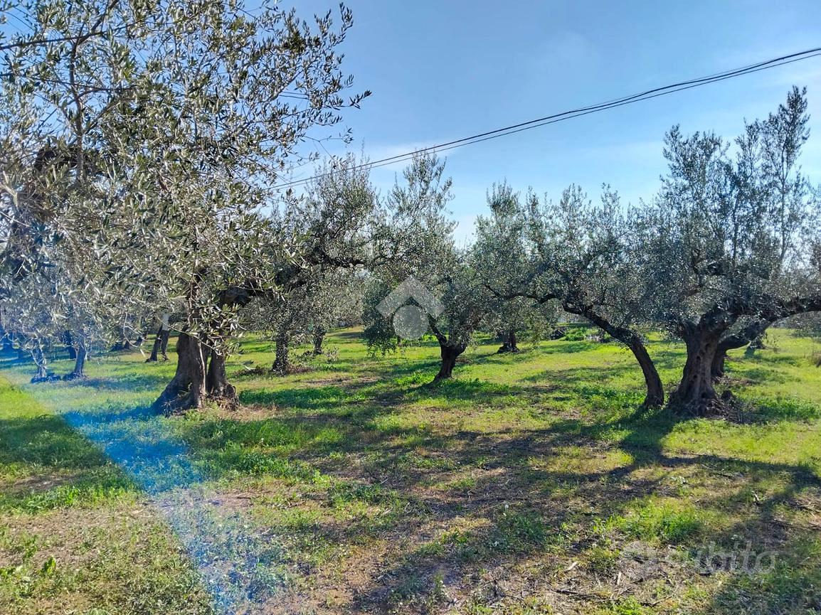 TER. AGRICOLO A MOSCUFO - Vista 5