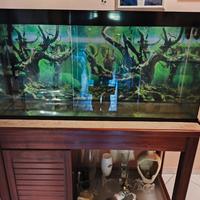 Acquario Ciano 240L + Filtro