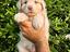 Immagine 3