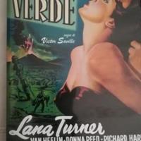 DVD Il Delfino Verde