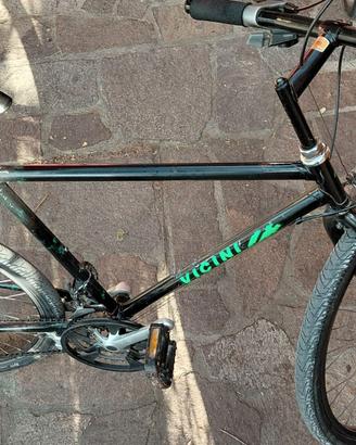 Bicicletta Mountain  bike MTB