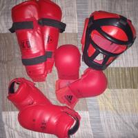 Paracolpi e Cinture professionali x arti marziali