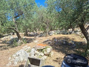 Villa di 246 m² a Itri