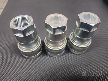 Racconto  femmina innesto  rapido 