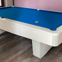 Biliardo professionale