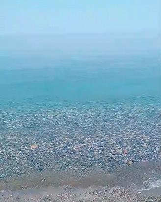 Appartamenti vicino al mare