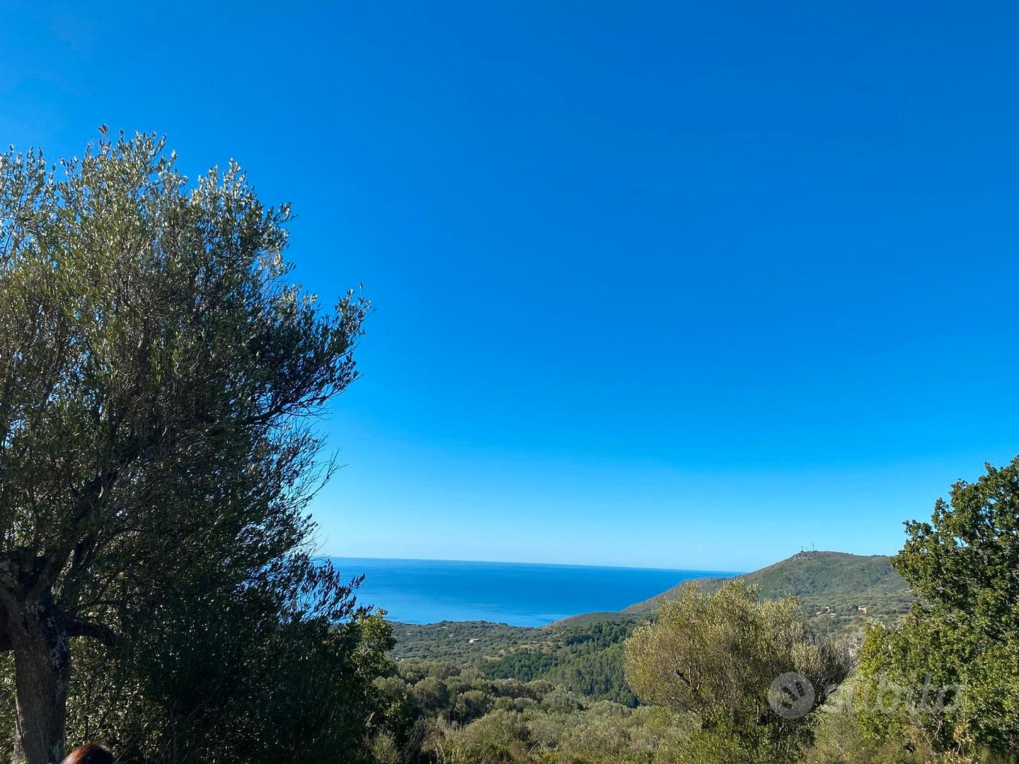 Terreno agricolo a camerota - Vista 3