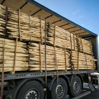 paleria di castagno scortecciato