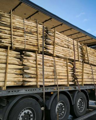 paleria di castagno scortecciato