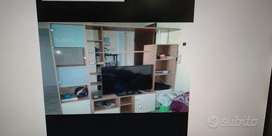 pota TV moderna con vetrina 