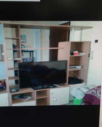 pota TV moderna con vetrina 