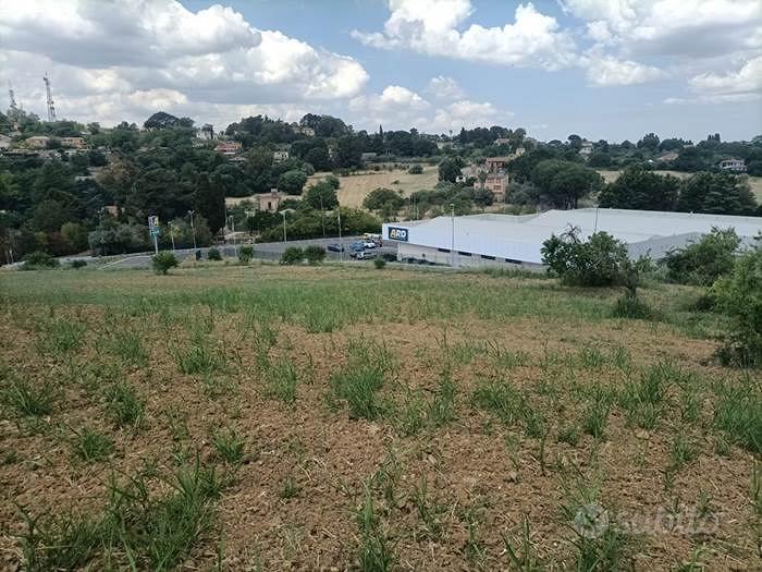 Rif.3650TG16324| terreno agricolo caltanissetta - Vista 5