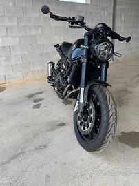 BENELLI LEONCINO 500 KM 6000