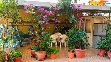 Appartamento con terrazzo