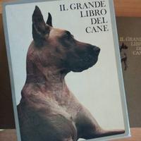 IL GRANDE LIBRO DEL CANE - DE AGOSTINI 1971 1.ED