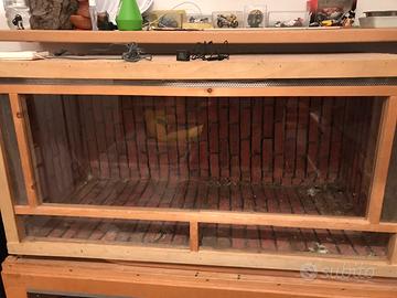 Teca terrario allestita