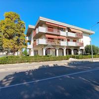 MULTILOCALE A PINETO