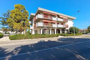 MULTILOCALE A PINETO