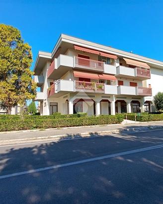 MULTILOCALE A PINETO