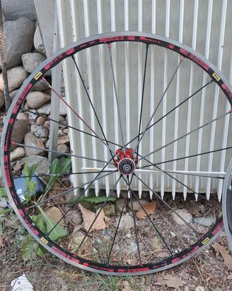 Coppia Ruote Bici da Corsa Mavic e Shimano RS