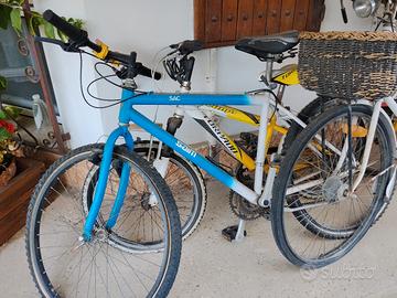 varie biciclette usate