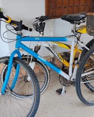 varie biciclette usate