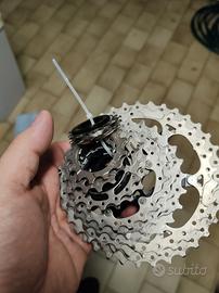 PACCO PIGNONI SUNRACE  + SHIMANO105