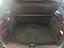 Immagine 13
