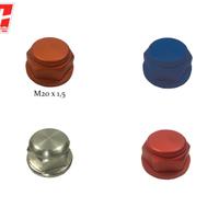 Dadi ruota posteriore M20x1,5