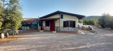Casale